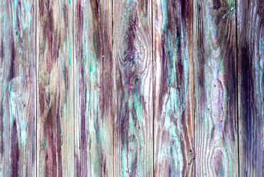 Similar image 19196332