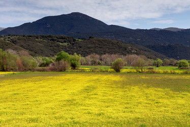 Similar image 19199596