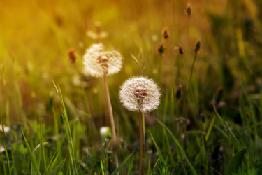 Similar image 19199597