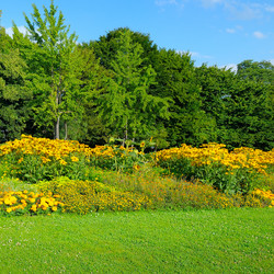 Similar image 19199657