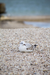 Similar image 19581445