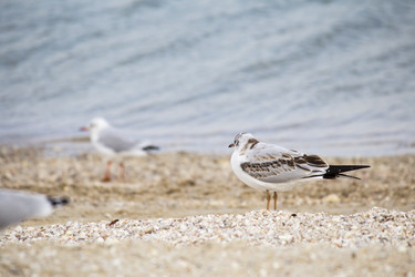 Similar image 19581466