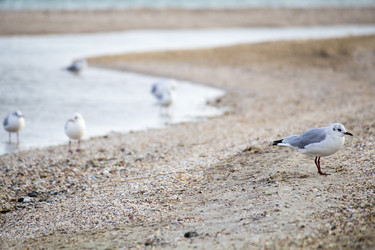 Similar image 19581502