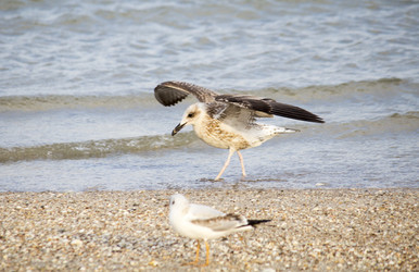 Similar image 19581503