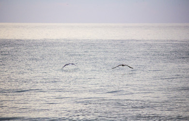 Similar image 19581504