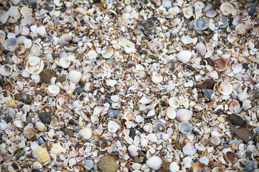 Similar image 19581597