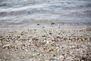 Similar image 19581617