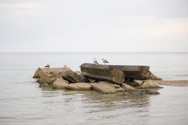 Similar image 19581635