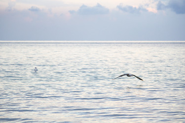 Similar image 19581637