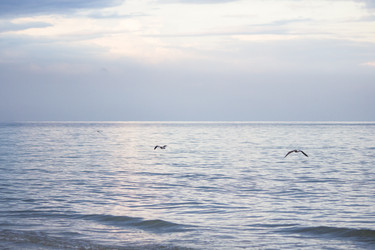 Similar image 19581654