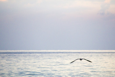 Similar image 19581655