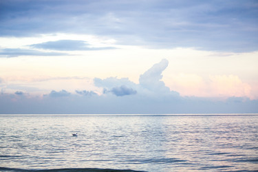 Similar image 19584552