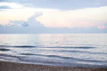 Similar image 19584553