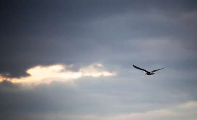 Similar image 19584585