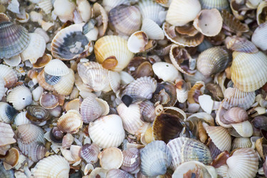 Similar image 19584605