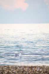 Similar image 19584632