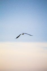 Similar image 19584633