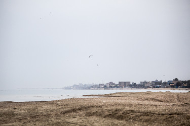 Similar image 19584672