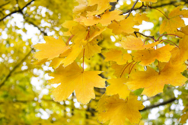 Similar image 19584732