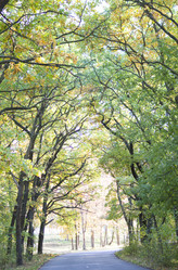 Similar image 19584752