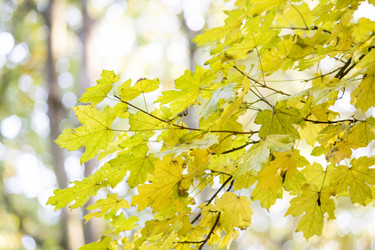 Similar image 19585044