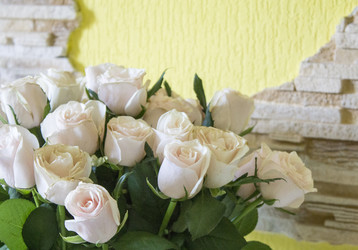 Similar image 19585256