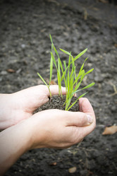 Similar image 19585277