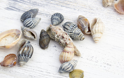 Similar image 19585354