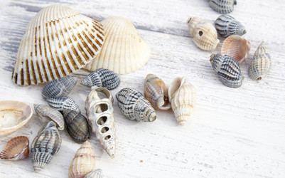 Similar image 19585360