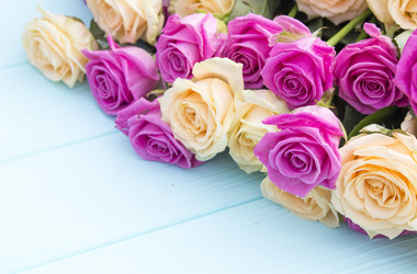 Similar image 19585363