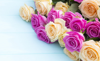 Similar image 19585337