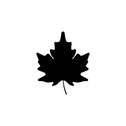 Similar image 19584628