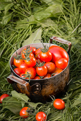 Similar image 19202046