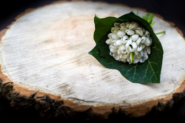 Similar image 19196126