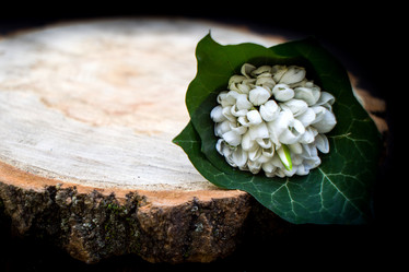 Similar image 19196127