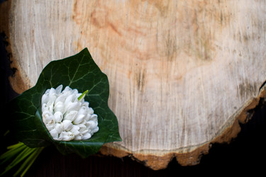 Similar image 19196128