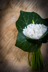 Similar image 19196129