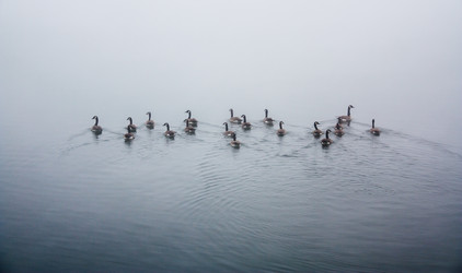 Similar image 19776748