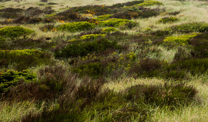 Similar image 19776759