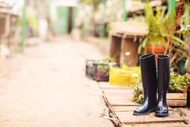 Similar image 19557224