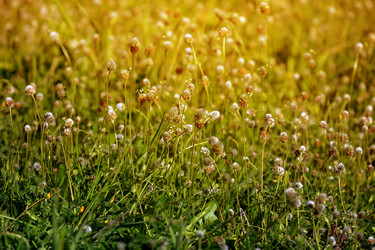 Similar image 19196291