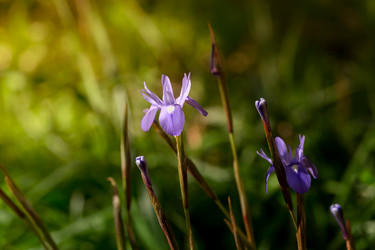 Similar image 19196336