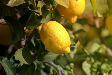 Similar image 19196337