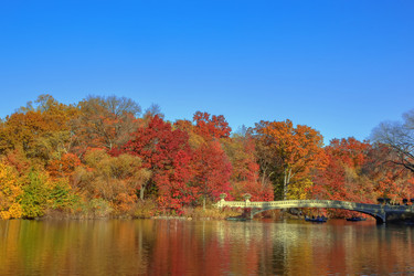 Similar image 19789880