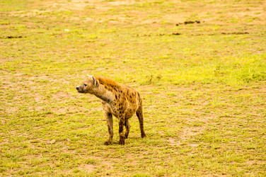 Similar image 19607547