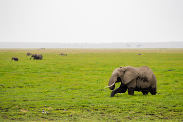 Similar image 19607575