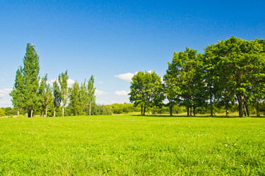 Similar image 19775903