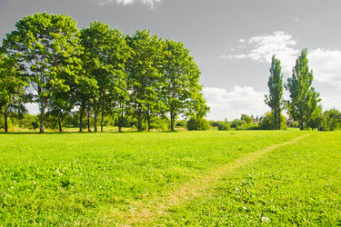 Similar image 19775905