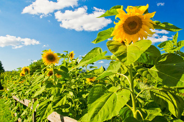 Similar image 19775911