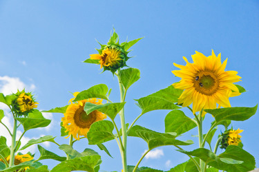 Similar image 19775912